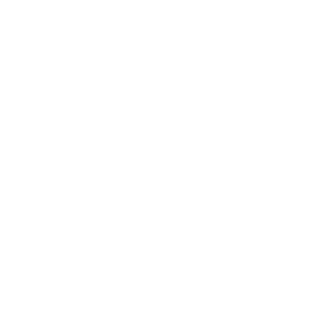 stake telegram casino logo white